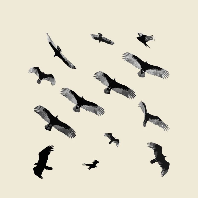 Vögel