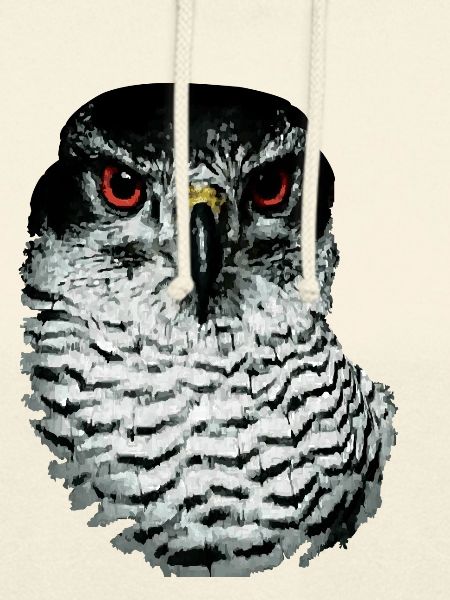 Greifvogel-01