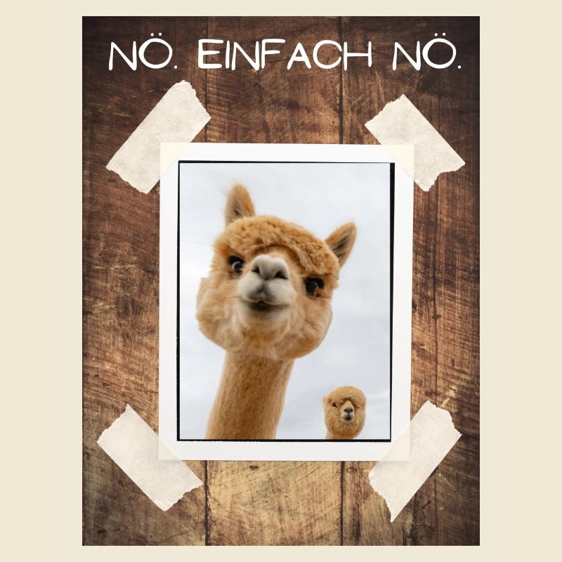 NÖ Einfach NÖ
