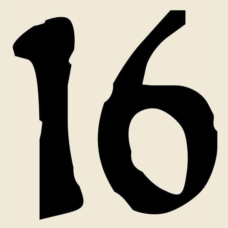 16_vec_1fr