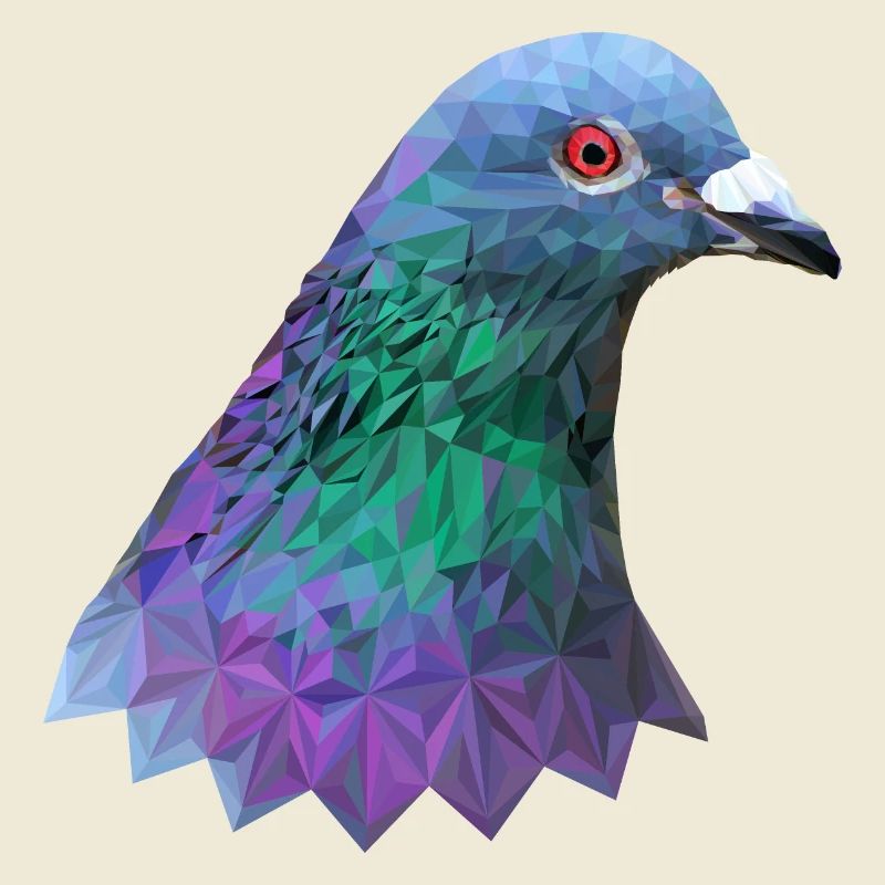 Taube Polygon Vogel