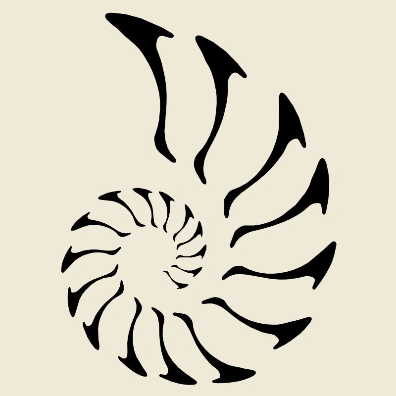 nautilus fibonacci