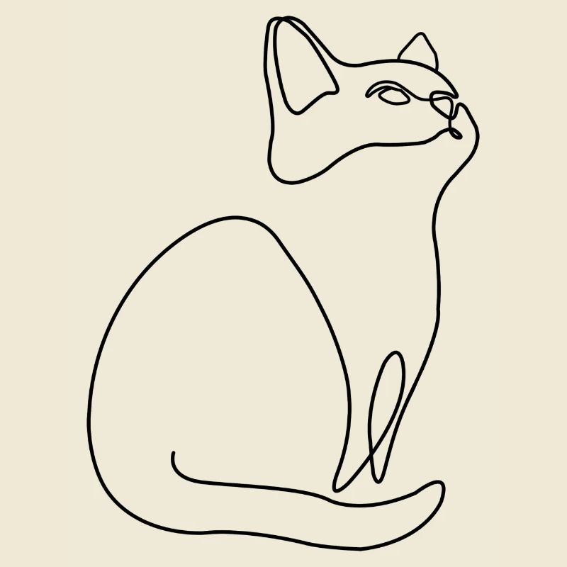 Chaton Chat Chat