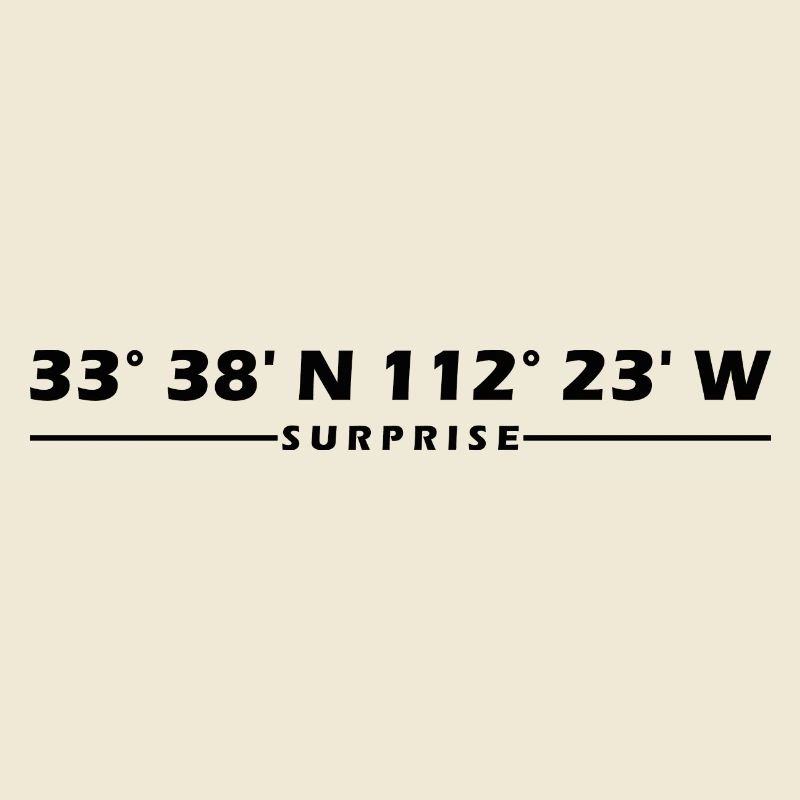 Surprise Coordinates