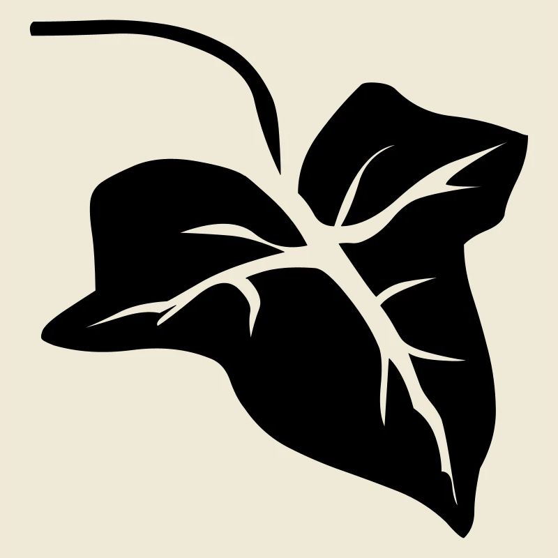 Efeu Blatt Leaf