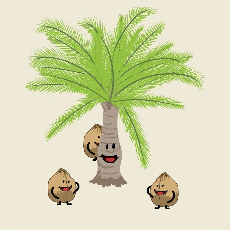 Coconut Palm Trees Nut Nuts Botanical