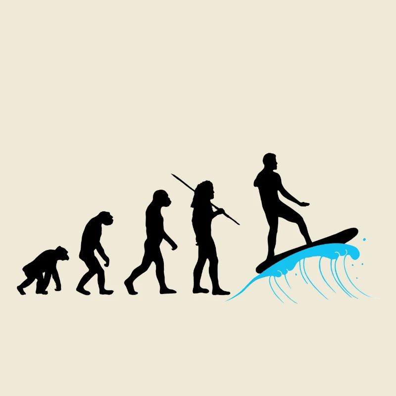 Évolution - Surf