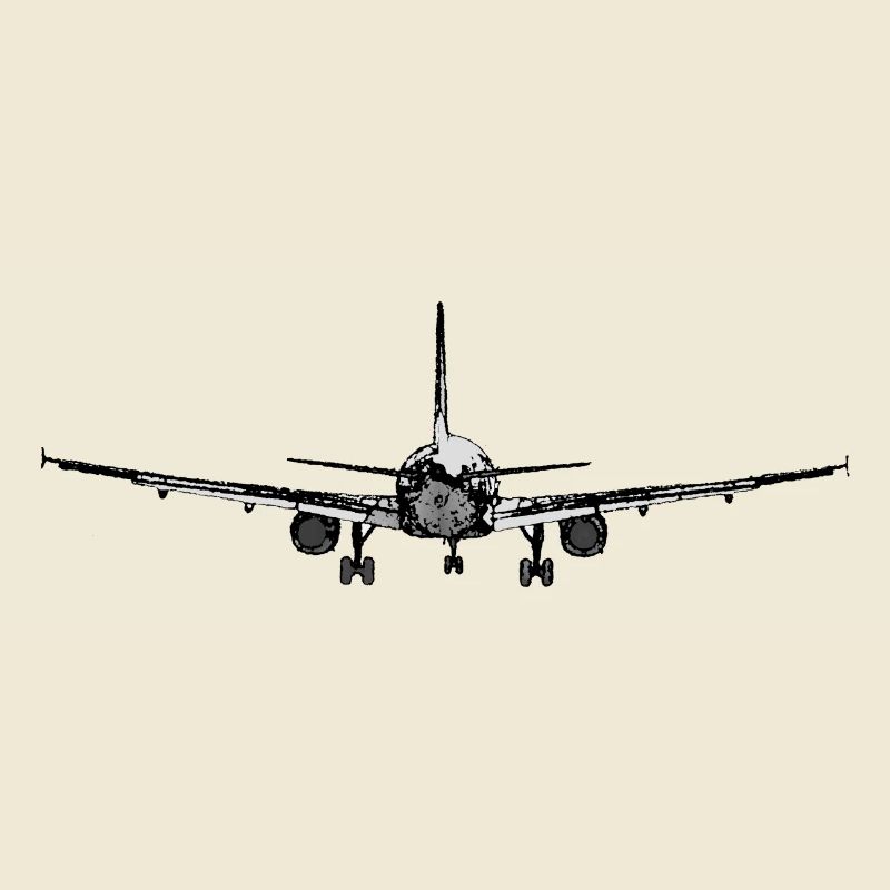 Landeanflug