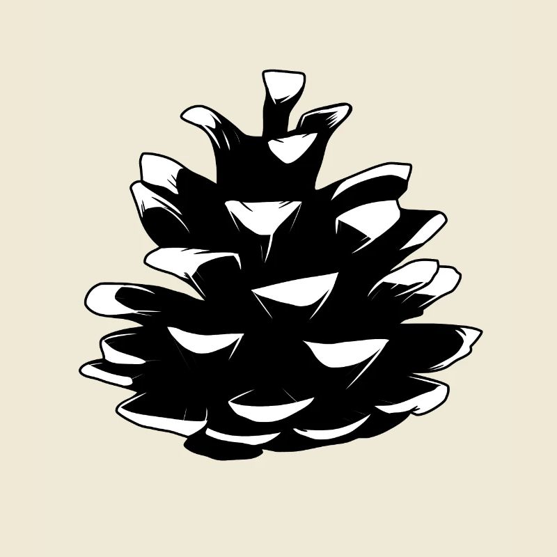 Pine pine cones Pine cones Forest Natural tree