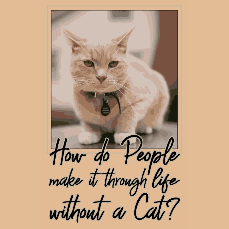 HOW DO PEOPLE MAKE IT THROUGH LIFE WITHOUT A CAT?