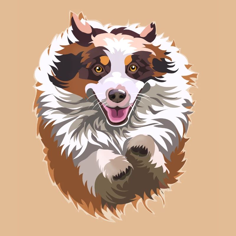 Aussie-Sprung