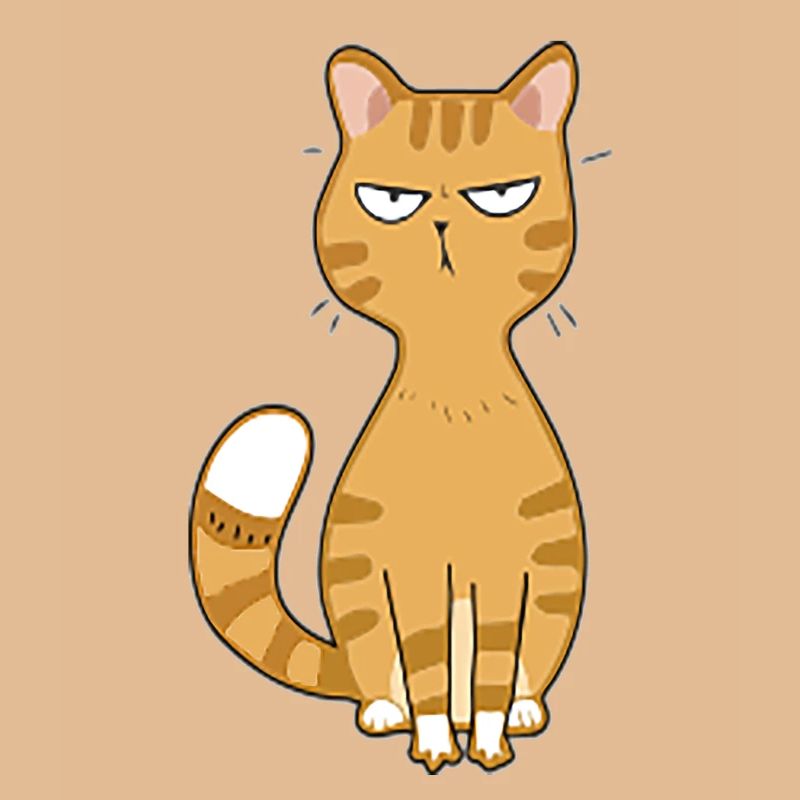Katze böse oder niedlich