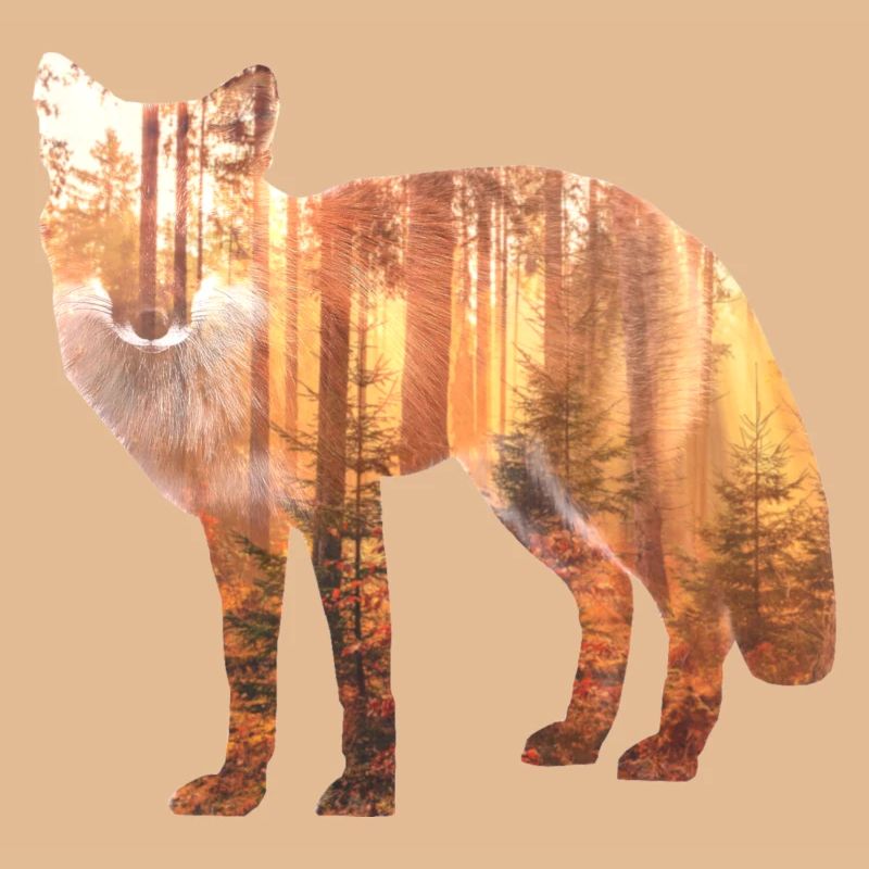 Fuchs Wald Geschenk Geschenkidee