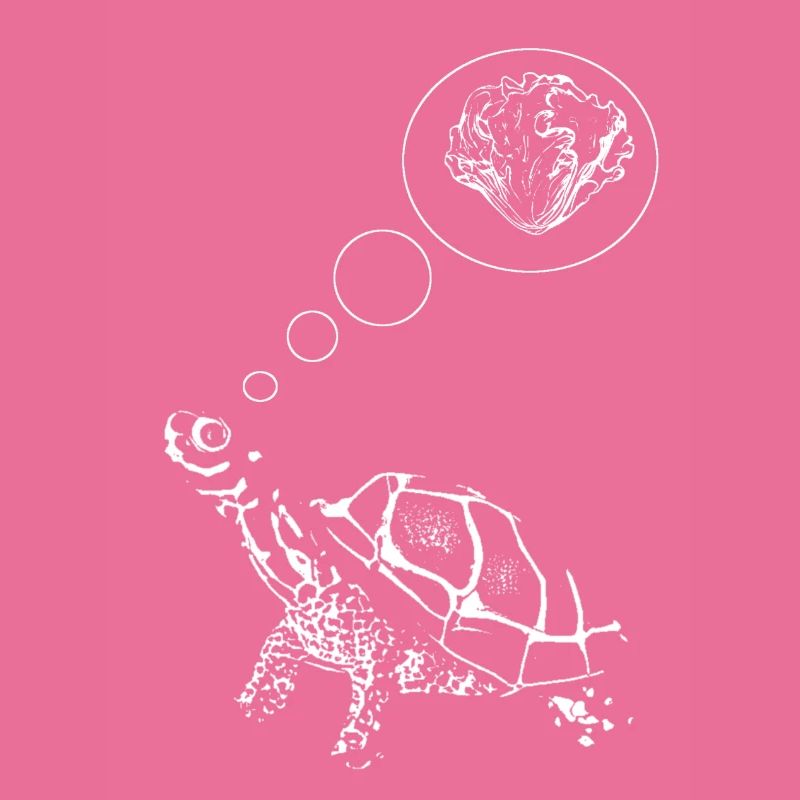 turtle2