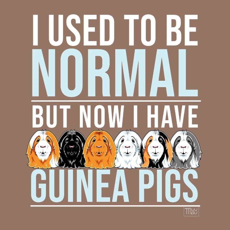 Cochons d'Inde Normal II
