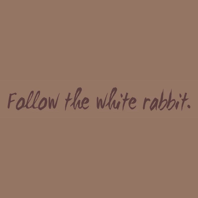 Follow the white rabbit programming cadeau
