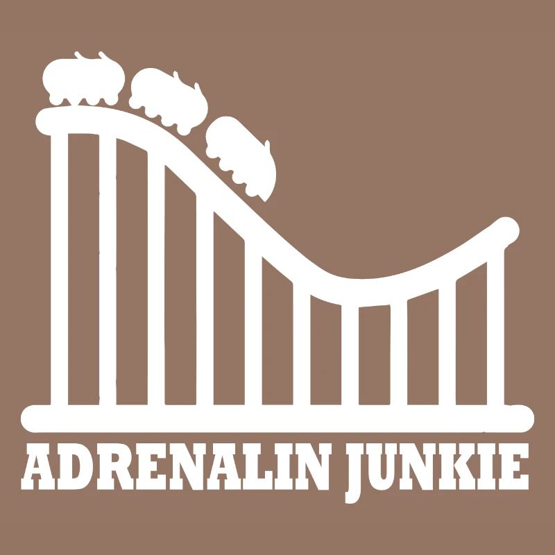 Rollercoaster Achterbahn Freizeitpark