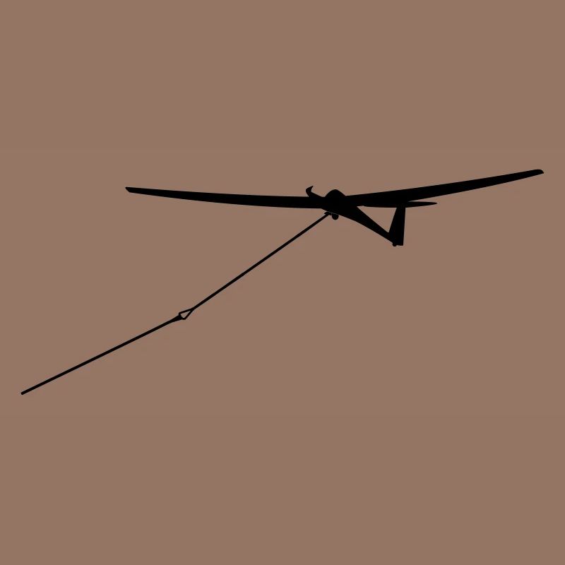 Glider Glider Glider Pilot Pilot