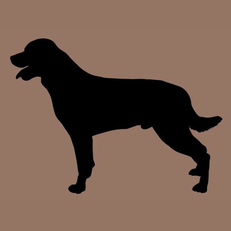 rottweilers