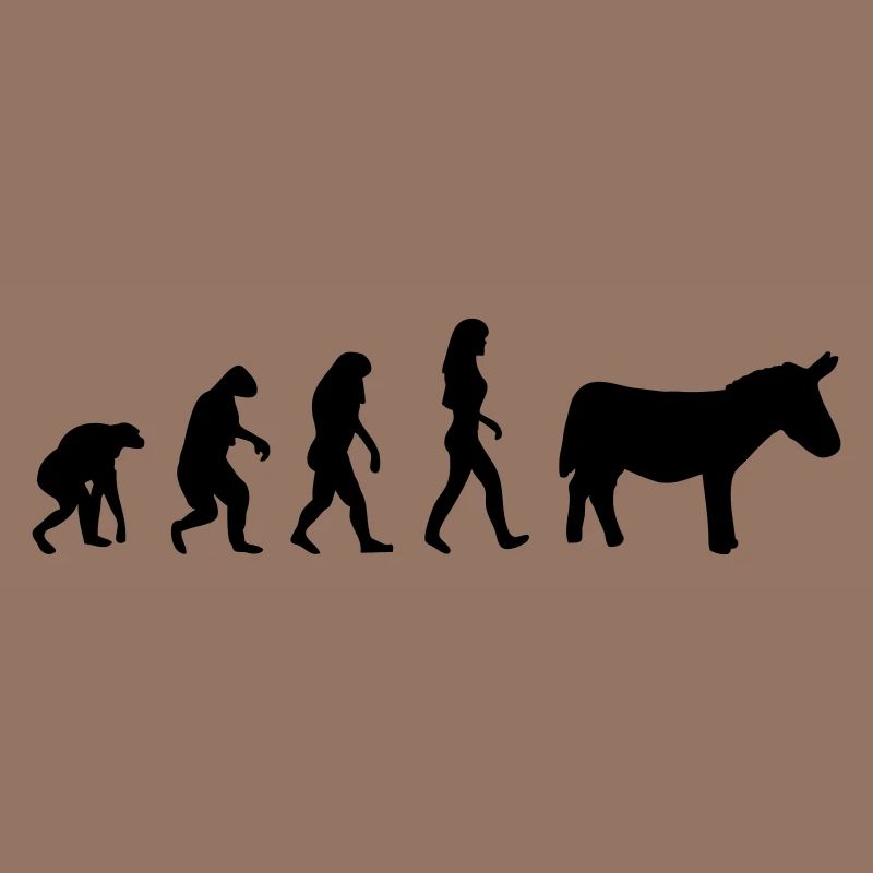 esel evolution frauen