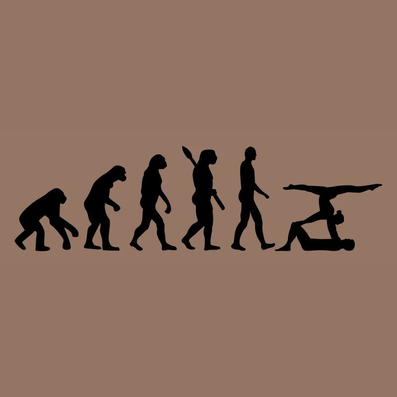 Évolution Acrobatie