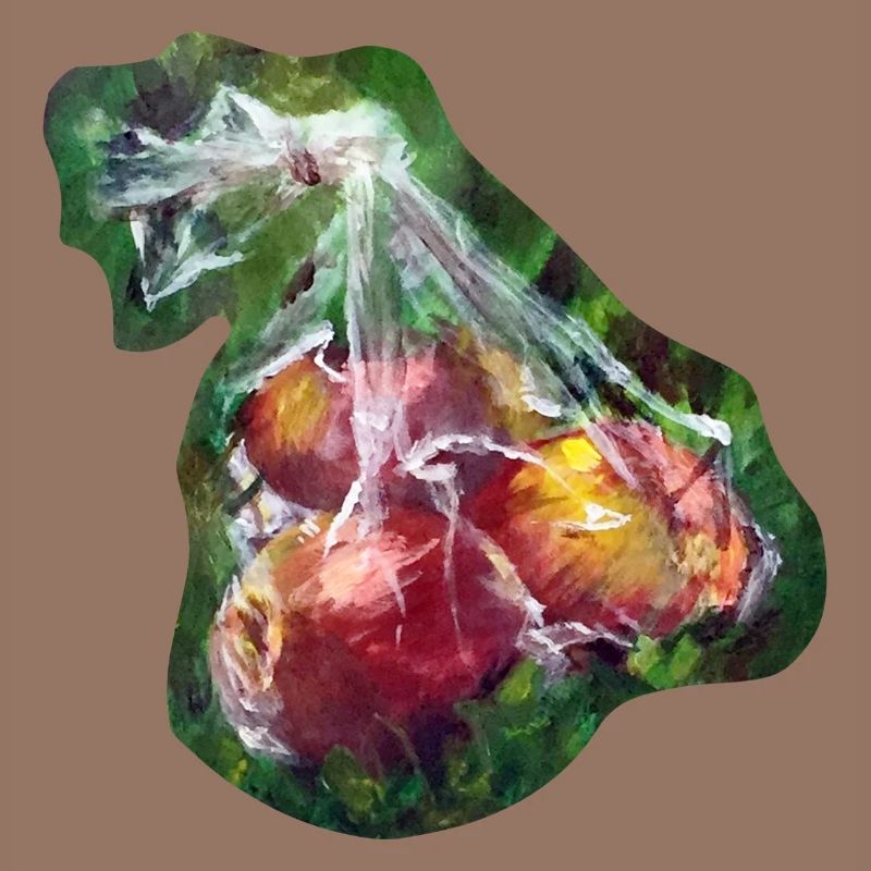 Picknick-Äpfel