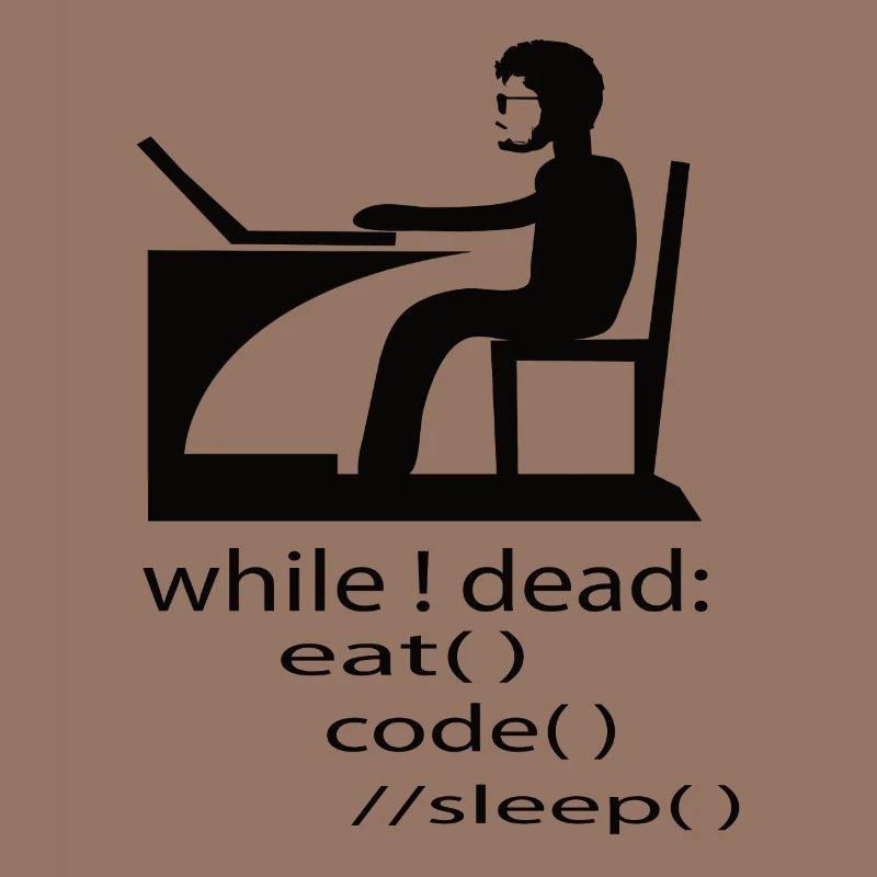 Softwareentwickler Programmierer Geschenk