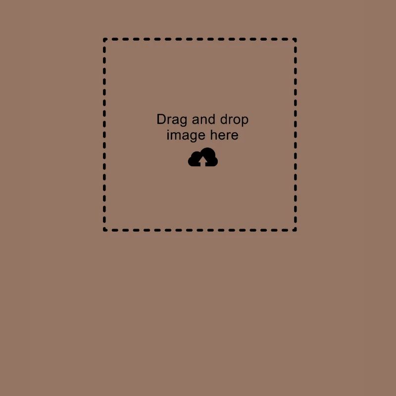 Drag and Drop Image Here