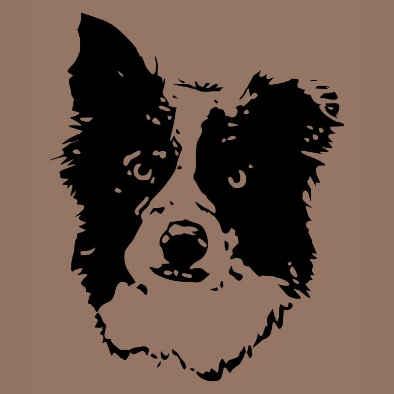 Border_Collie2_cb