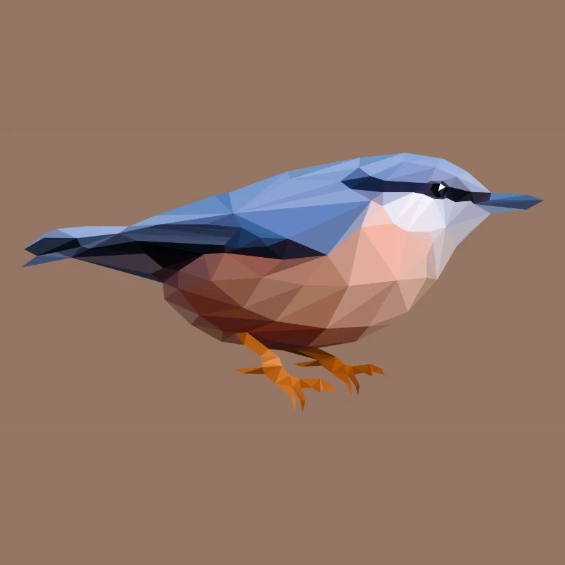 nuthatch