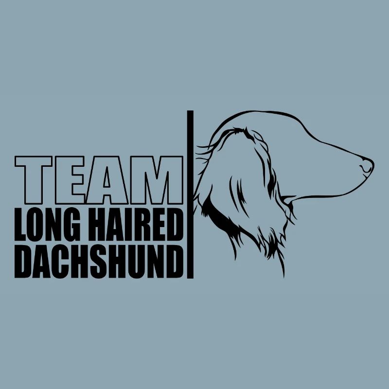 TEAM Teckel à poil long Chiens Teckel Wilsigns