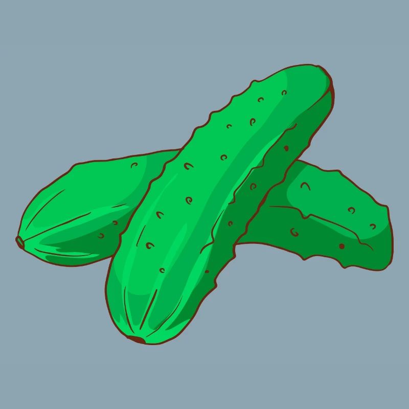 Cornichons cornichons concombres Cornichons concombres