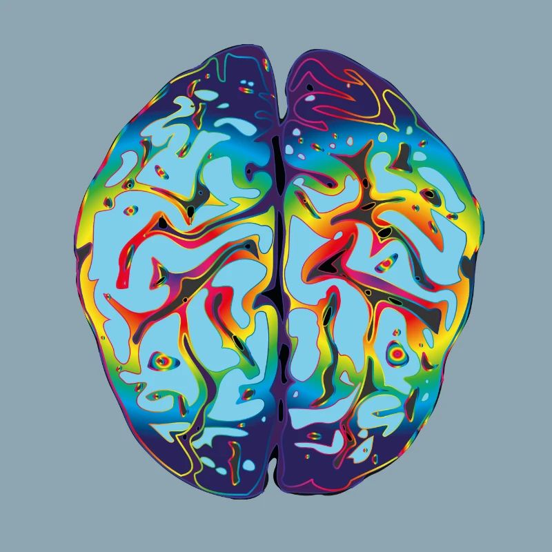 LSD Brain
