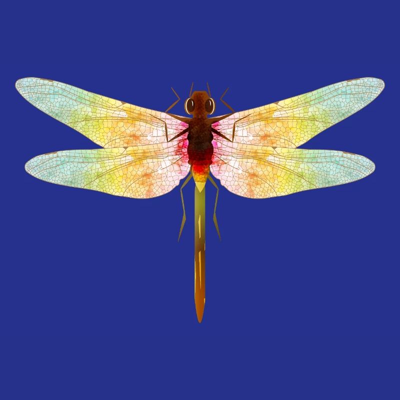 Libellule irisée – motif insecte en filigrane