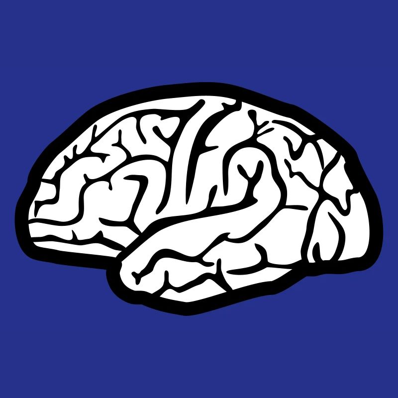Brain