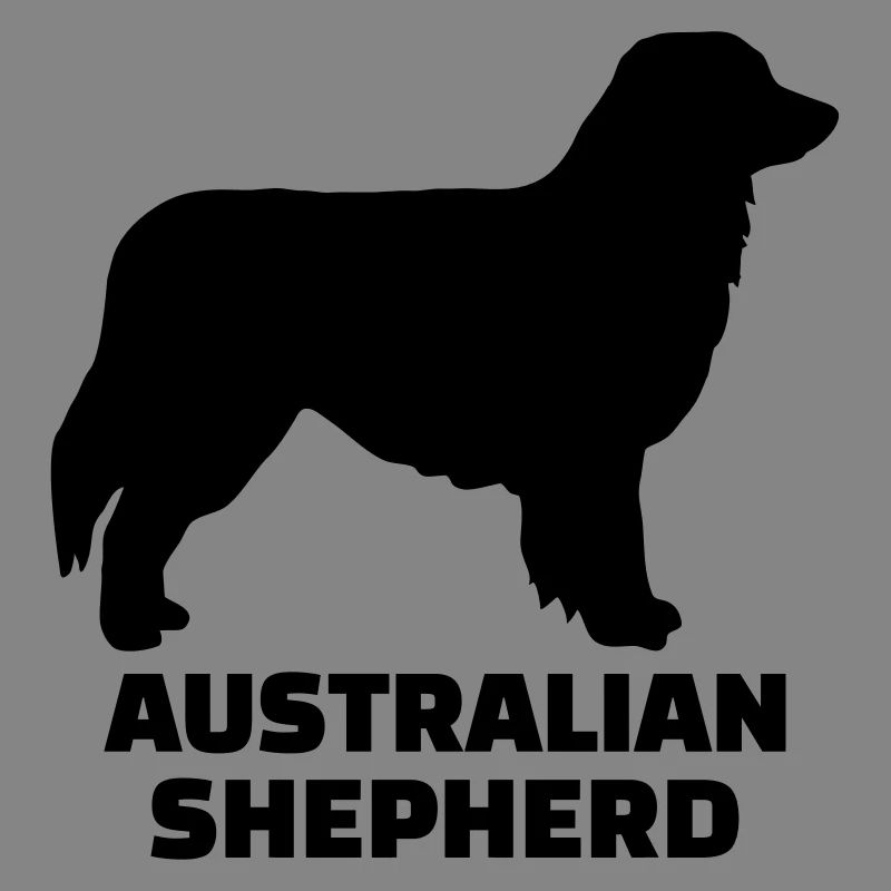 Australian shepherd
