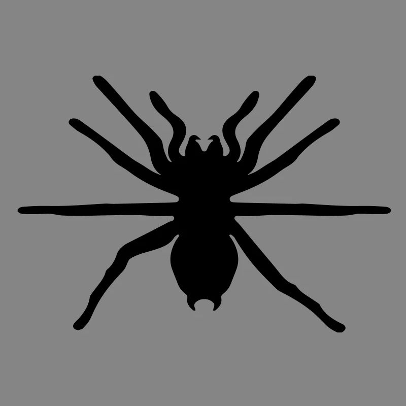 spinne