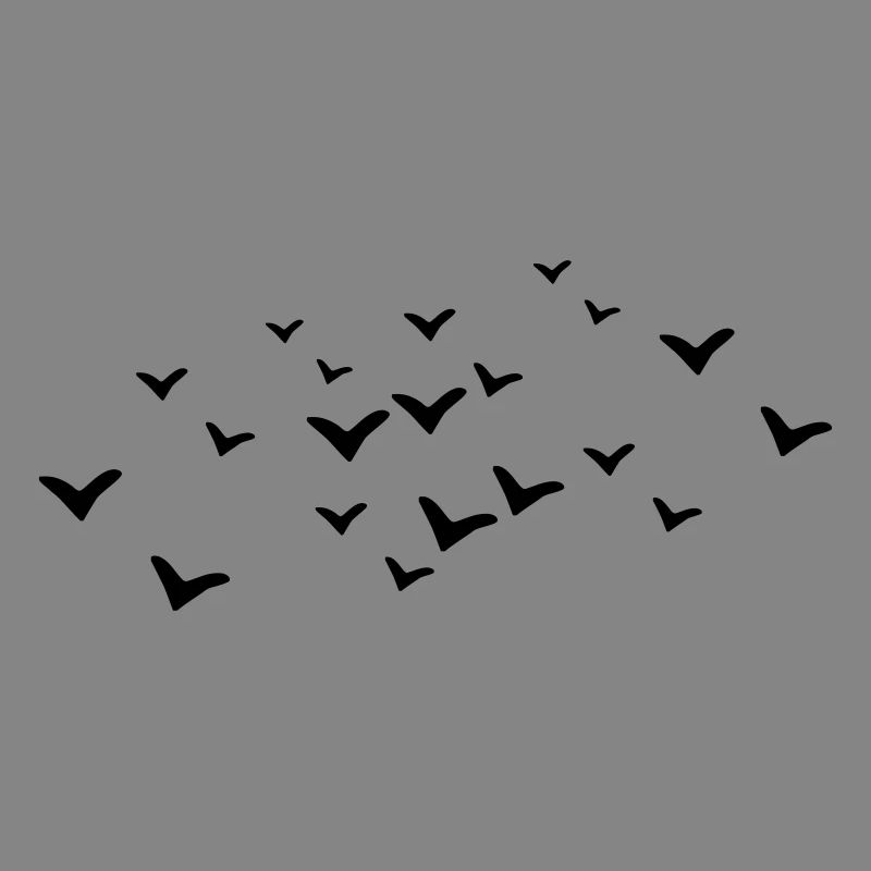 Oiseaux