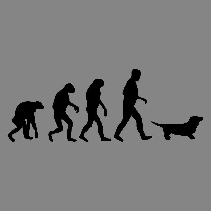 dackel evolution