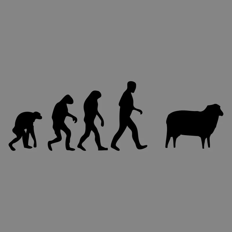 mouton evolution