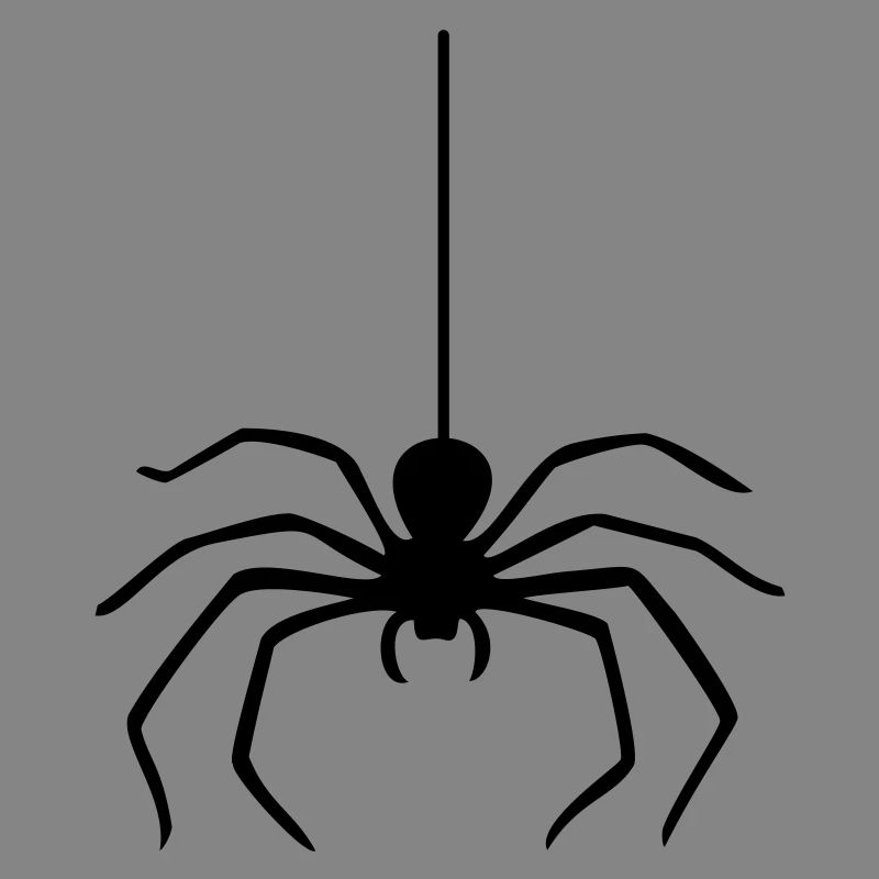Araignée / Araignée