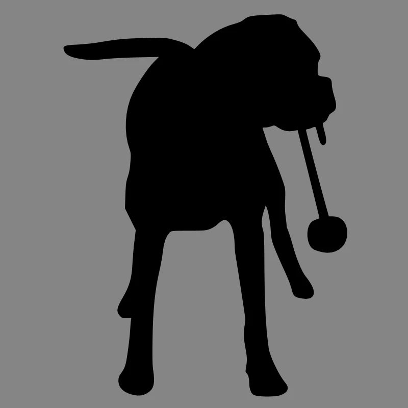 Boxer_cb
