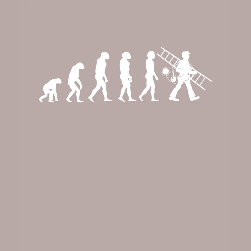 Chimney Sweep Evolution Chimney Fireplace