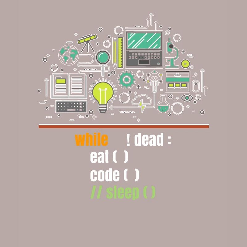 programmeur