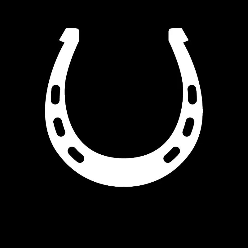 Reiten