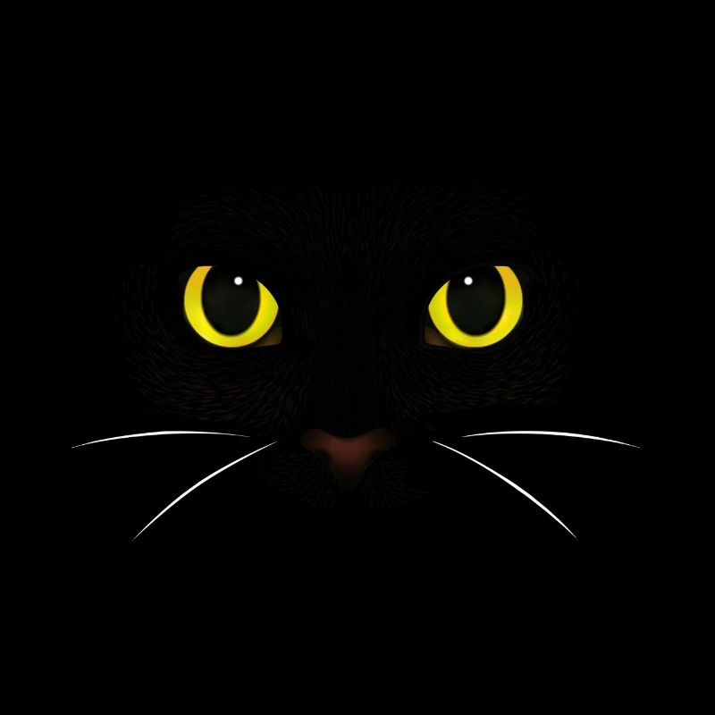 chat noir - Chat de race