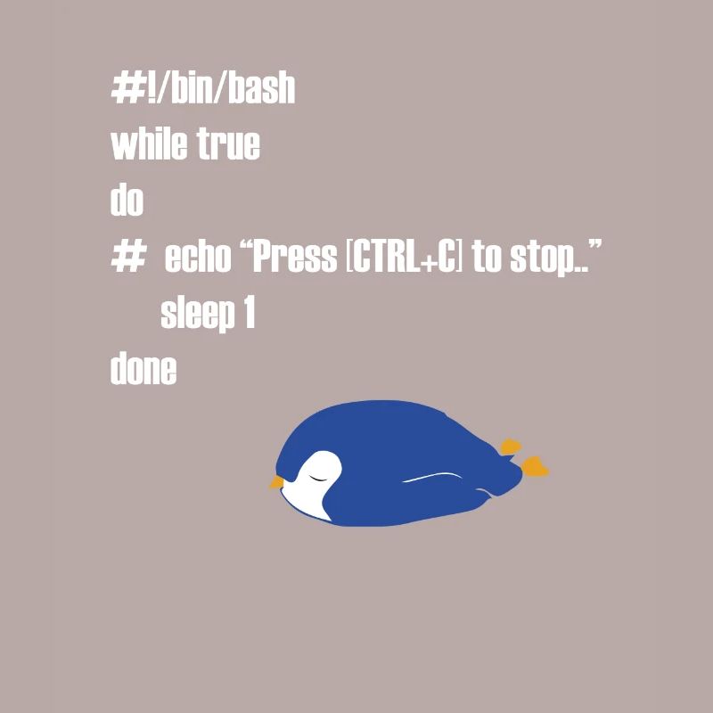 Lustiges Linux Programmierer Informatiker Geschenk