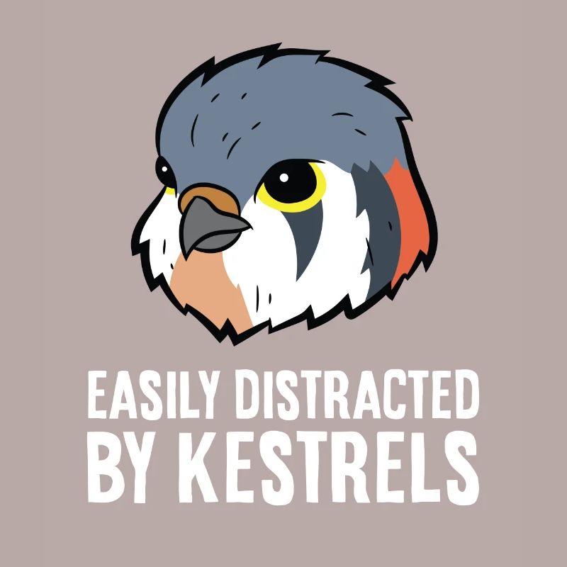 Easily Distracted By Kestrels