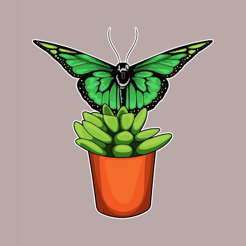 Fleur de pot de fleurs papillon