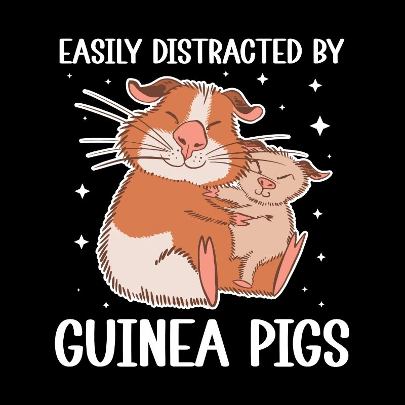 Cochon d’Inde